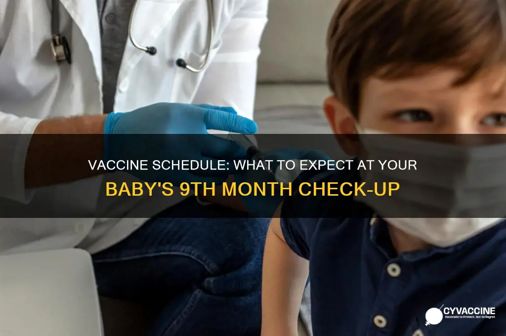 is there vaccine in 9th month check up