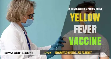 Yellow Fever Vaccine: Understanding the Post-Vaccination Waiting Period