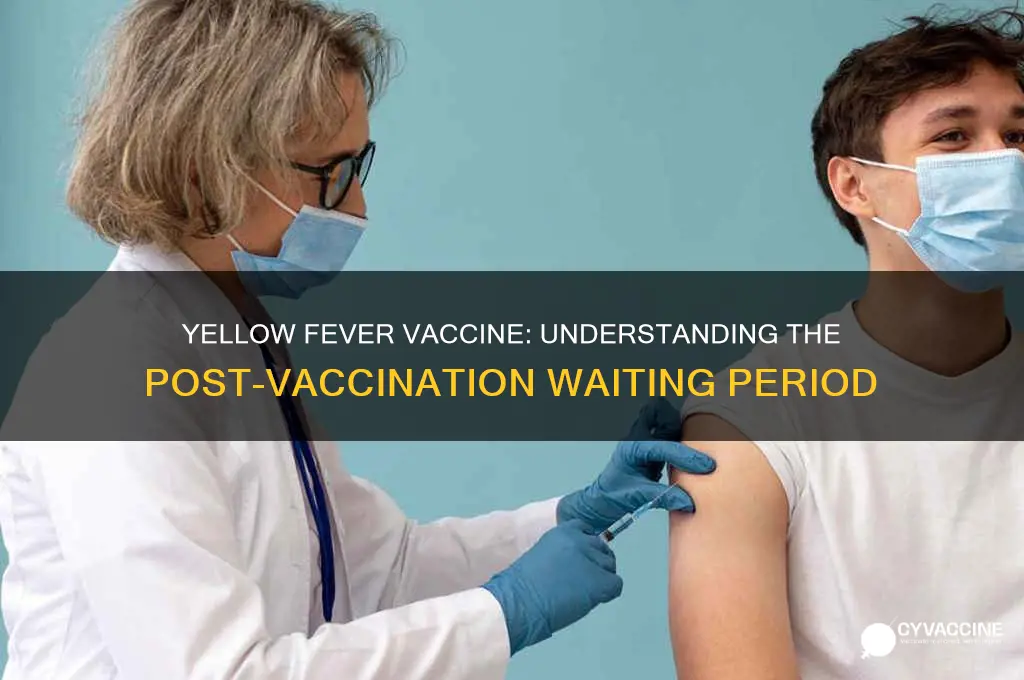 is there waiting period after yellow fever vaccine
