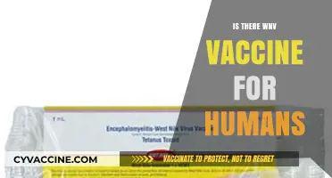 Exploring the Quest for a West Nile Virus Vaccine for Humans