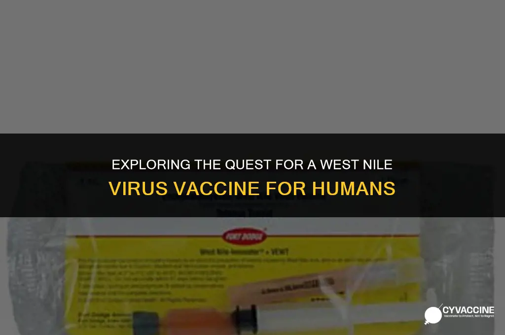 is there wnv vaccine for humans