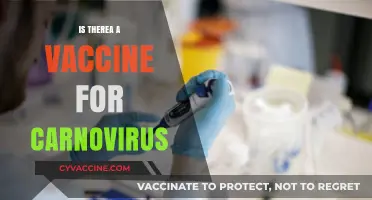 Exploring the Quest for a Carnovirus Vaccine: Facts and Myths
