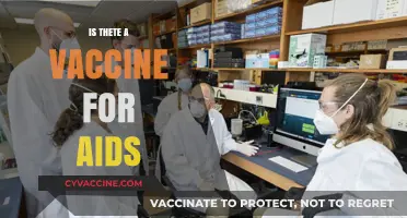 Exploring the Quest for an AIDS Vaccine: Progress and Challenges