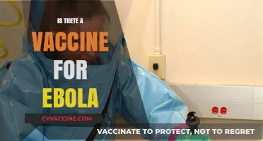 Exploring the Latest Advances: Is There a Vaccine for Ebola?