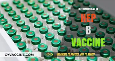 Exploring Thimerosal's Role in Hepatitis B Vaccines: Facts and Myths