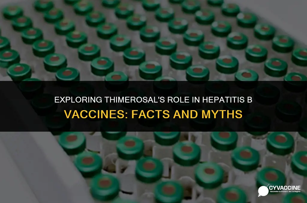is thimerosal in hep b vaccine