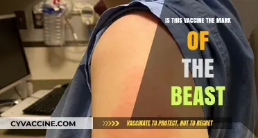 Is the Vaccine the Mark of the Beast? Debunking Myths