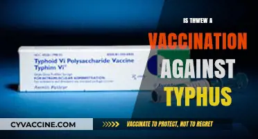 Exploring the Availability of a Typhus Vaccine: Facts and Myths