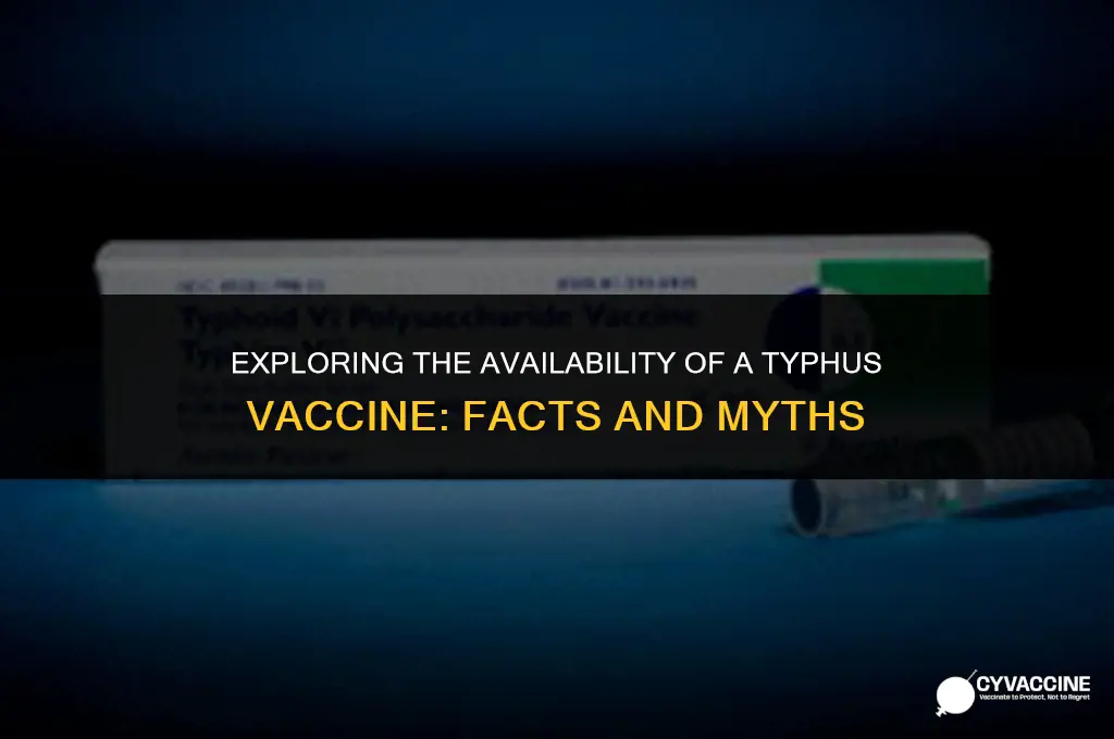 is thwew a vaccination against typhus