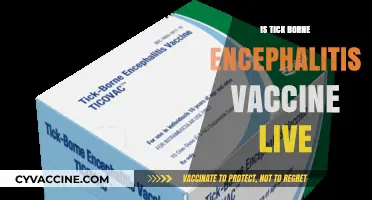 Exploring the Nature of Tick-Borne Encephalitis Vaccine: Live or Inactivated?