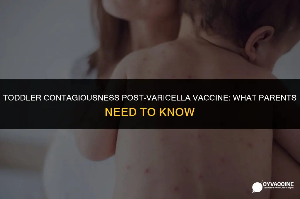 is toddler contagious after varicella vaccine