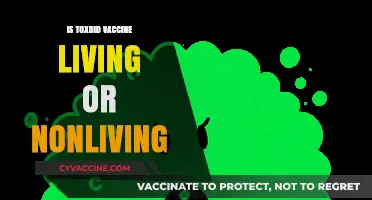 Understanding Toxoid Vaccines: The Science Behind Non-Living Immunization