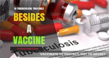 Combating Tuberculosis: Exploring Treatments Beyond Vaccination