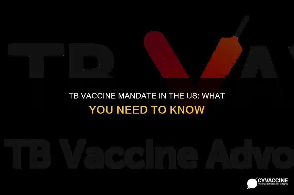 is tuberculosis vaccine mandatory in us