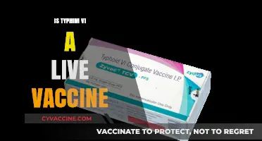 Understanding Typhim Vi: Is It a Live Vaccine?