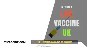 Understanding Typhoid Vaccination in the UK: A Comprehensive Guide