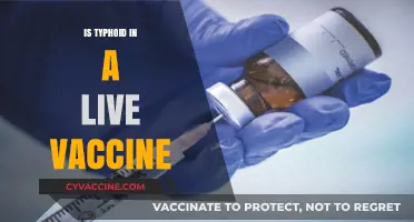 Exploring the Safety and Efficacy of Live Typhoid Vaccines