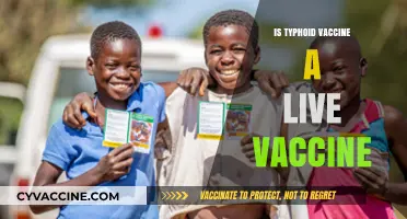 Is Typhoid Vaccine Live? Understanding Its Composition and Effectiveness