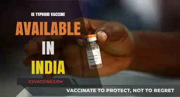 Combatting Typhoid: Vaccine Availability and Importance in India