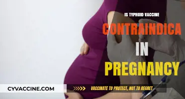 Exploring Typhoid Vaccine Safety During Pregnancy: What You Need to Know