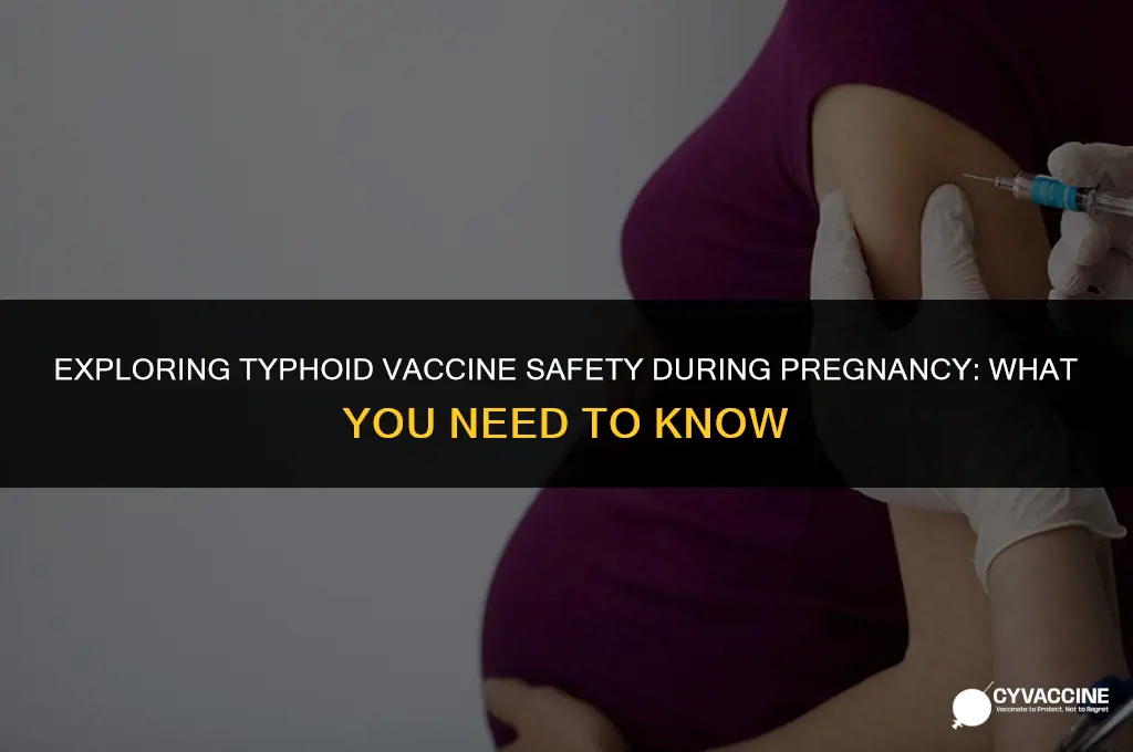 is typhoid vaccine contraindicated in pregnancy