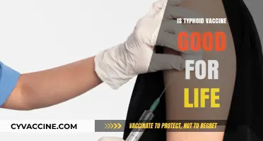 Lifelong Immunity: The Truth About Typhoid Vaccines