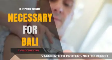 Exploring the Importance of Typhoid Vaccination for Bali Travelers