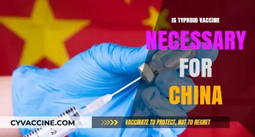 Exploring the Necessity of Typhoid Vaccination for China Travel
