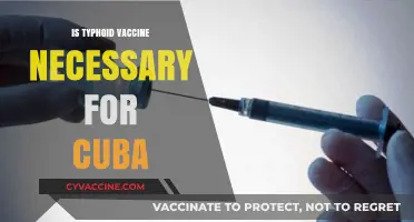 Exploring the Necessity of Typhoid Vaccination for Cuba Travel