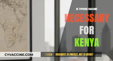 Kenya's Public Health: The Importance of Typhoid Vaccination