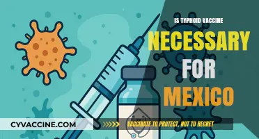 Exploring the Necessity of Typhoid Vaccination for Mexico Travel