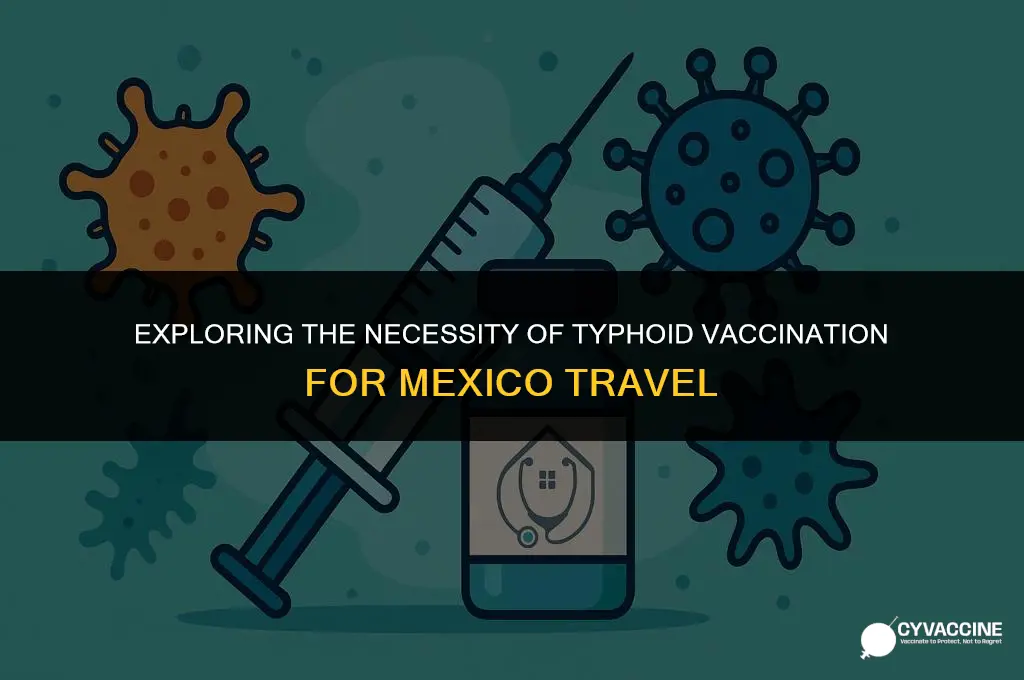 is typhoid vaccine necessary for mexico