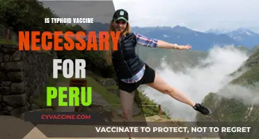 Exploring the Importance of Typhoid Vaccination for Peru Travelers