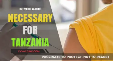 Exploring the Importance of Typhoid Vaccination in Tanzania