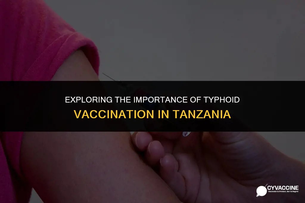 is typhoid vaccine necessary for tanzania