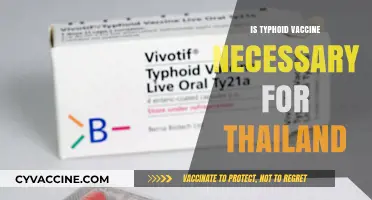 Exploring the Necessity of Typhoid Vaccination for Thailand Travel