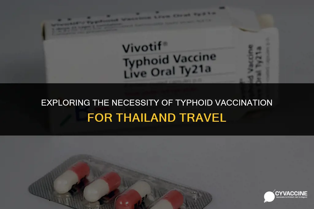 is typhoid vaccine necessary for thailand
