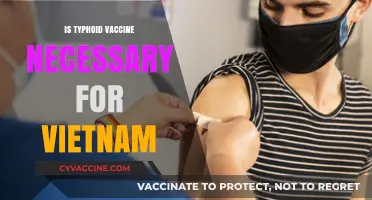 Exploring the Necessity of Typhoid Vaccination for Vietnam Travel