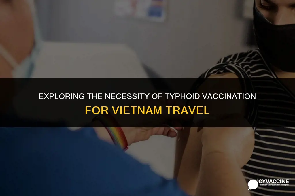 is typhoid vaccine necessary for vietnam