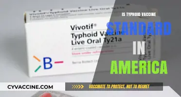 Understanding Typhoid Vaccination Standards in the United States