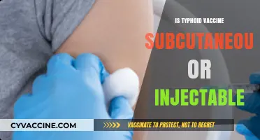 Understanding Typhoid Vaccination: Subcutaneous or Injectable?