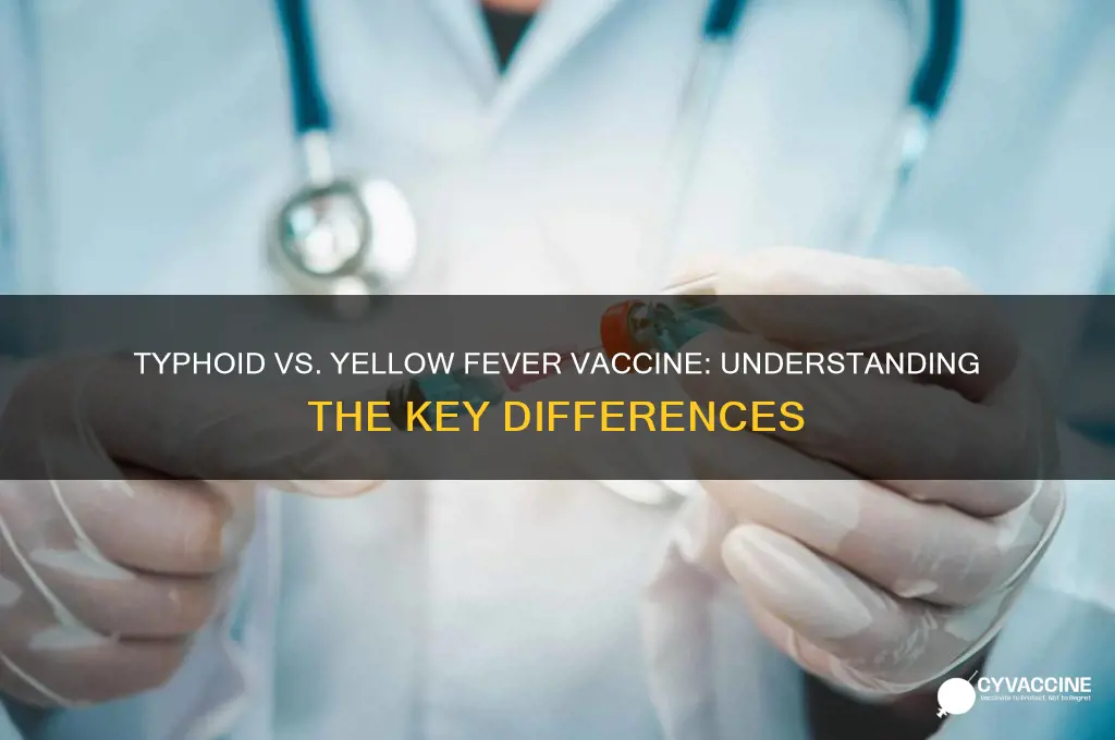 is typhoid vaccine the same as yellow fever