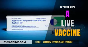 Understanding Typhoid ViCPS: The Live Vaccine Option