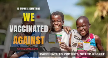 Combatting Typhus: The Importance of Vaccination in Modern Medicine