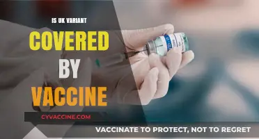 UK Variant and Vaccines: What You Need to Know