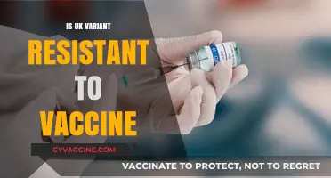 Exploring the UK Variant's Resistance to COVID-19 Vaccines