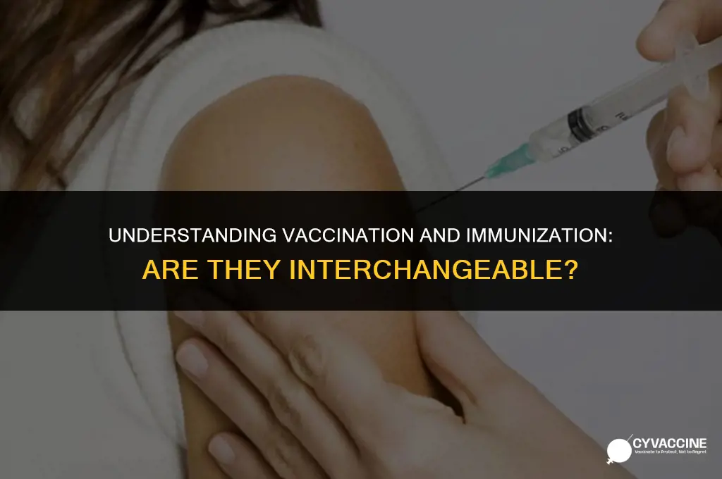 is vaccinating and immunization the same