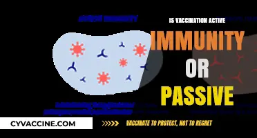 Vaccination: Unraveling the Mystery of Active vs. Passive Immunity