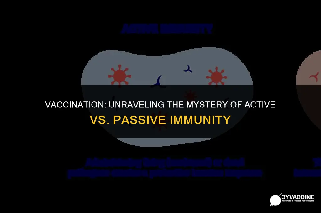 is vaccination active immunity or passive