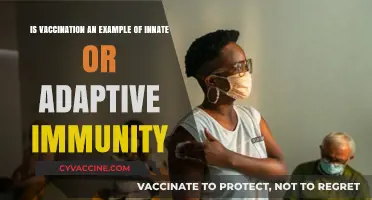 Vaccination: Innate or Adaptive Immunity? Understanding the Body's Defense
